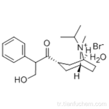 3- (3-Hidroksi-1-okso-2-fenilpropoksi) -8-metil-8- (1-metiletil) -8-azoniabisiklo (3.2.1) oktan bromür monohidrat CAS 66985-17-9